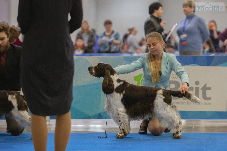 194947-5af48-110277316-m750x740-uad1a3.j