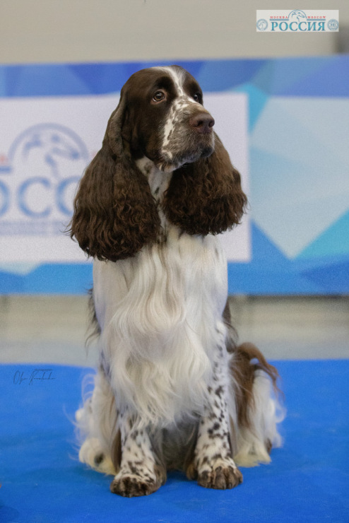 194947-a7c95-110277304-m750x740-u74af8.j